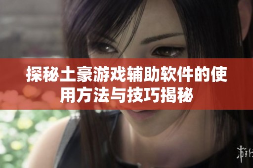 探秘土豪游戏辅助软件的使用方法与技巧揭秘