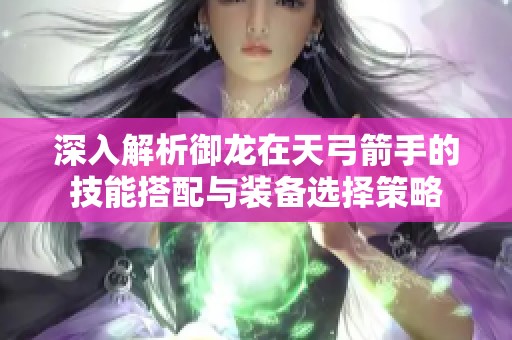 深入解析御龙在天弓箭手的技能搭配与装备选择策略