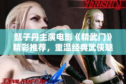 甄子丹主演电影《精武门》精彩推荐，重温经典武侠魅力