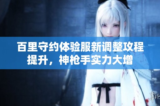 百里守约体验服新调整攻程提升，神枪手实力大增