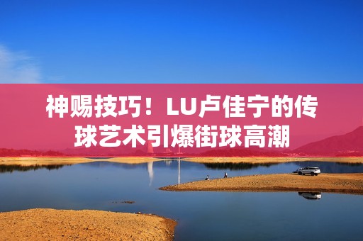 神赐技巧！LU卢佳宁的传球艺术引爆街球高潮