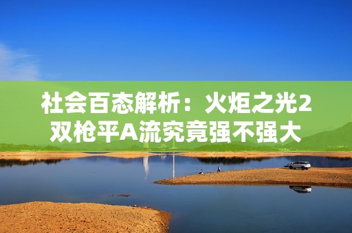 社会百态解析：火炬之光2双枪平A流究竟强不强大
