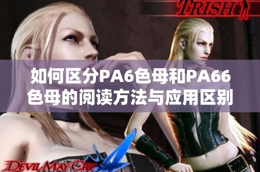 如何区分PA6色母和PA66色母的阅读方法与应用区别