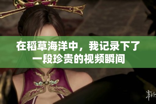 在稻草海洋中，我记录下了一段珍贵的视频瞬间