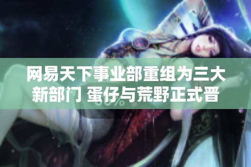 网易天下事业部重组为三大新部门 蛋仔与荒野正式晋升