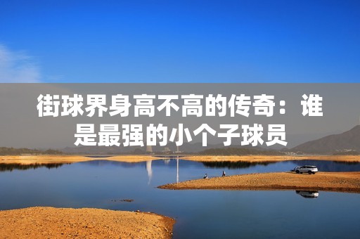 街球界身高不高的传奇：谁是最强的小个子球员
